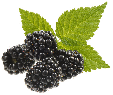 blackberries