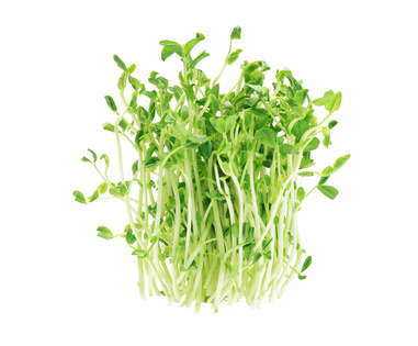 Bundle Of Fresh Pea Sprouts On White Background