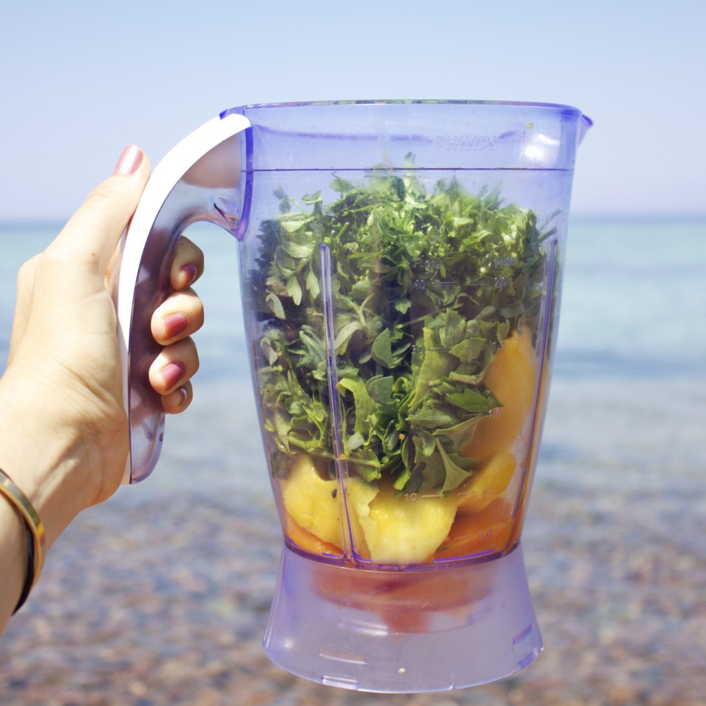 yasmina holding blender by beach