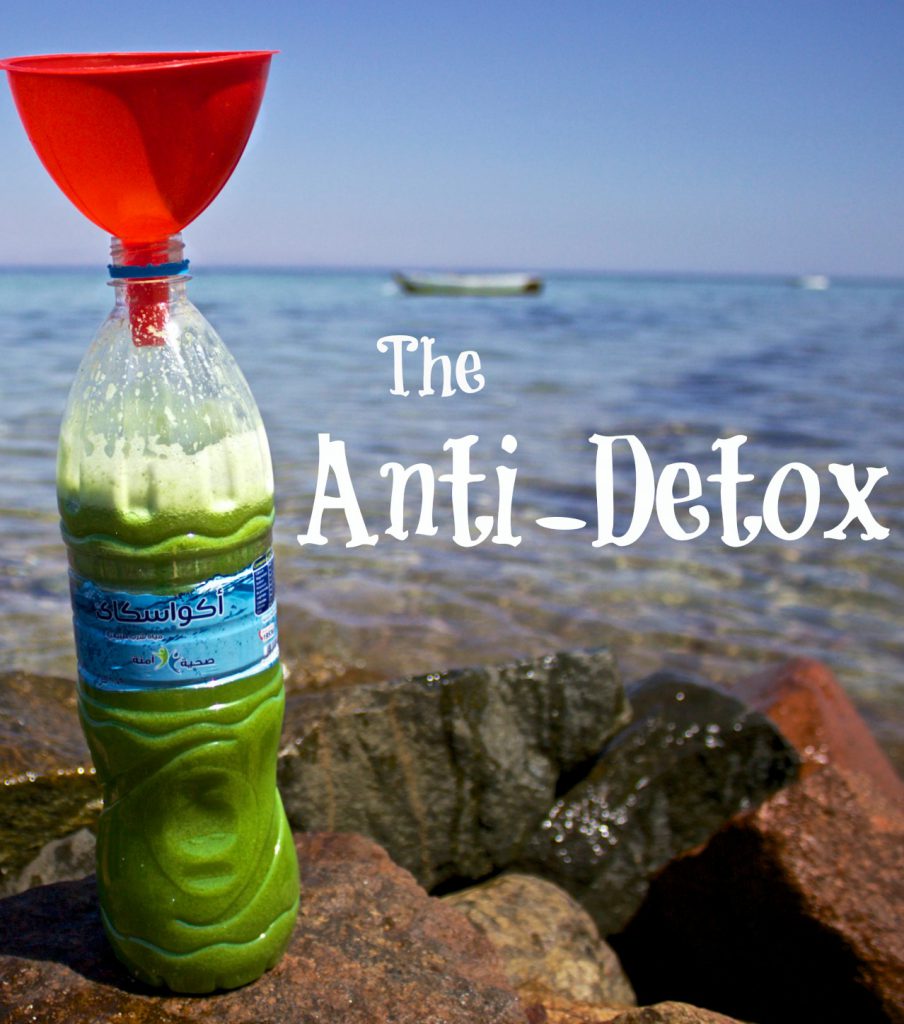 the antidetox ebook photo