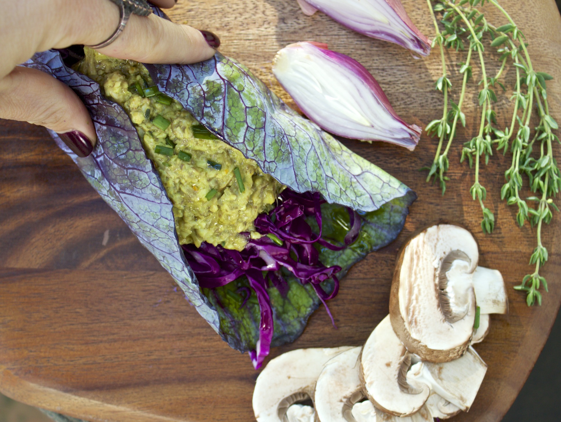 Red cabbage rolls w/creamy veggies Healing Histamine