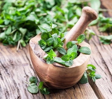 Fresh mint, wooden mortar and pestle on the old table.