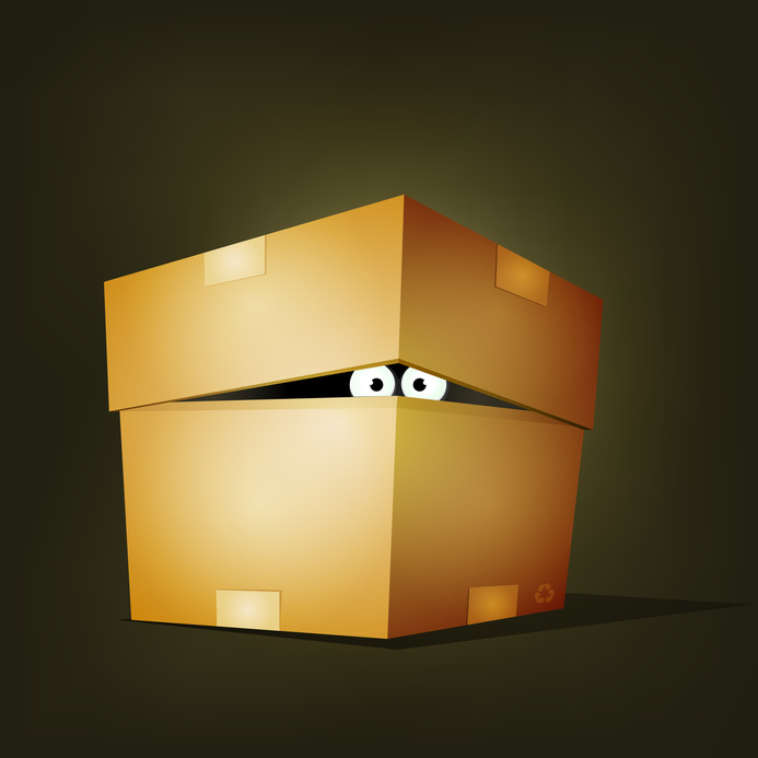eyes peering out of a box