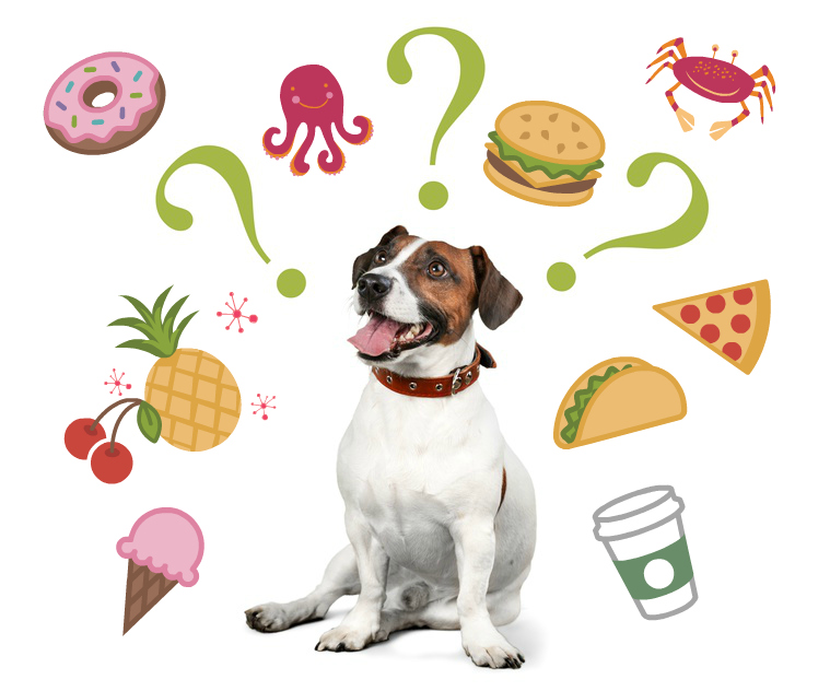 dog with question marks looking at several high histamine foods