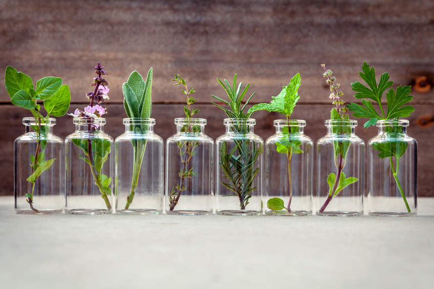 Bottle of essential oil with herbs holy basil flower, basil flower,rosemary,oregano, sage,parsley ,thyme and mint set up on old wooden background .